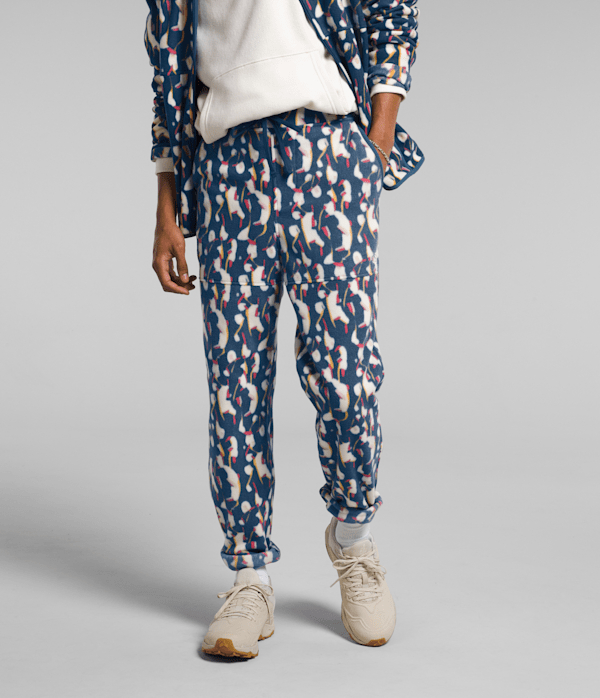 Men's Alpine Polartec® 100 Pants | The North Face Canada