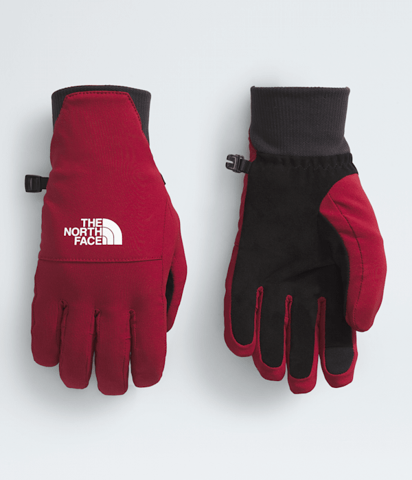 Women's Shelbe Raschel Etip™ Gloves | The North Face