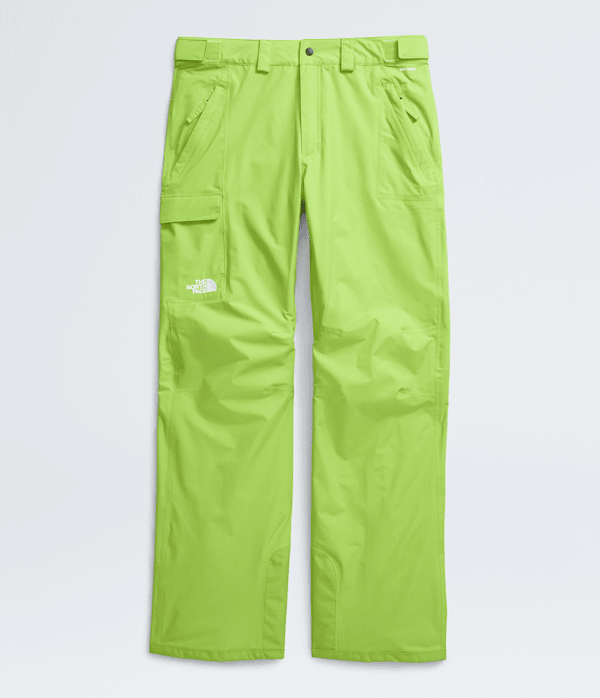 THE NORTH FACE ノースフェイス FREEDOM ビブパンツ 新品 Men's Freedom Bibs | The North Face