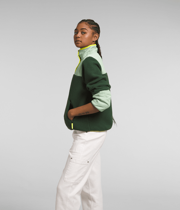 Women's Cragmont Fleece ¼-Snap | The North Face Canada