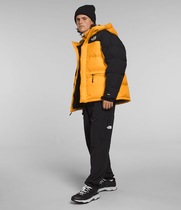 Men's HMLYN Down Parka | The North Face Canada