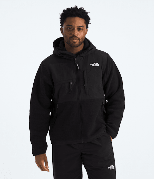 the north face mens fleece hoodie