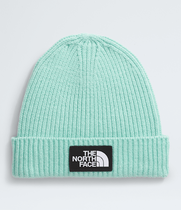 Supreme x The North Face Beanie Blue | eBay