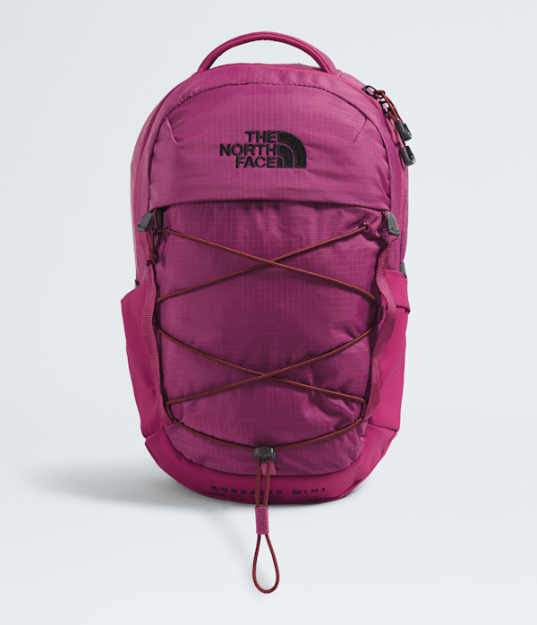 The North Face Borealis Mini Backpack: Cyber Berry/Sumac