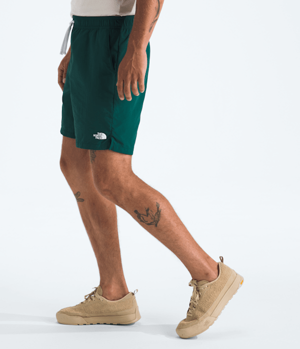 ★THE NORTH FACE☆ICEDAY SHORTS NS6NR01 Shop The North Face Coordinates Utility Shorts NF0A8123-ZK6