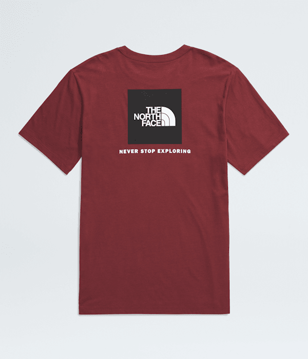 Men's Evolution Box NSE Short-Sleeve Tee | The North Face