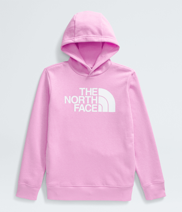 ★THE NORTH FACE☆M'S GEODOME V HOODIE NJ3NQ57 M'S GEODOME V HOODIE - 노스페이스