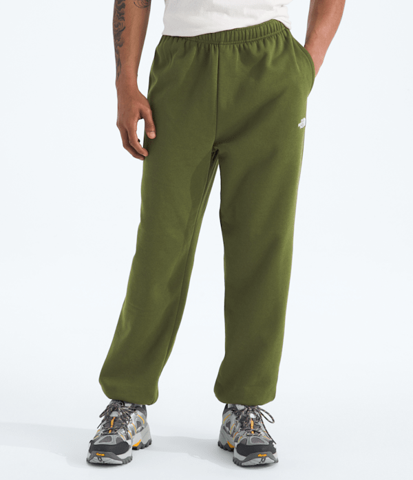 The North Face Men’s Evolution Simple Dome Regular Pants (Size: XS): Woodland Green