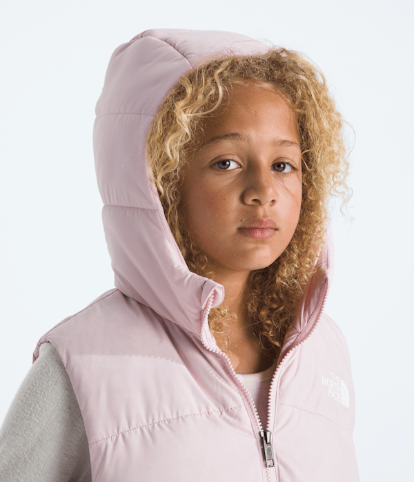 THE NORTH FACE Vest/NPW71511/レディースL/ピンク Amazon.com: The North Face Women's Flare Vest, Pink Moss, X