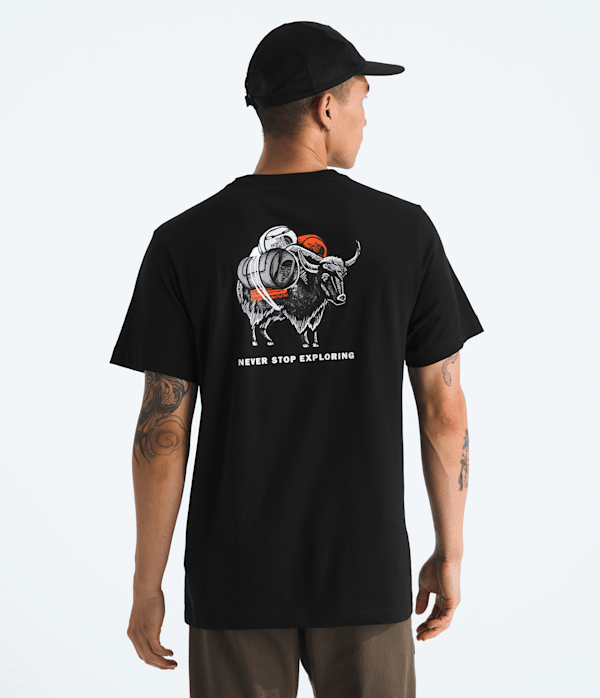 The North Face Men’s Evolution Vault Tri Pack Short-Sleeve T-Shirt—graphic (Size: Small): Black