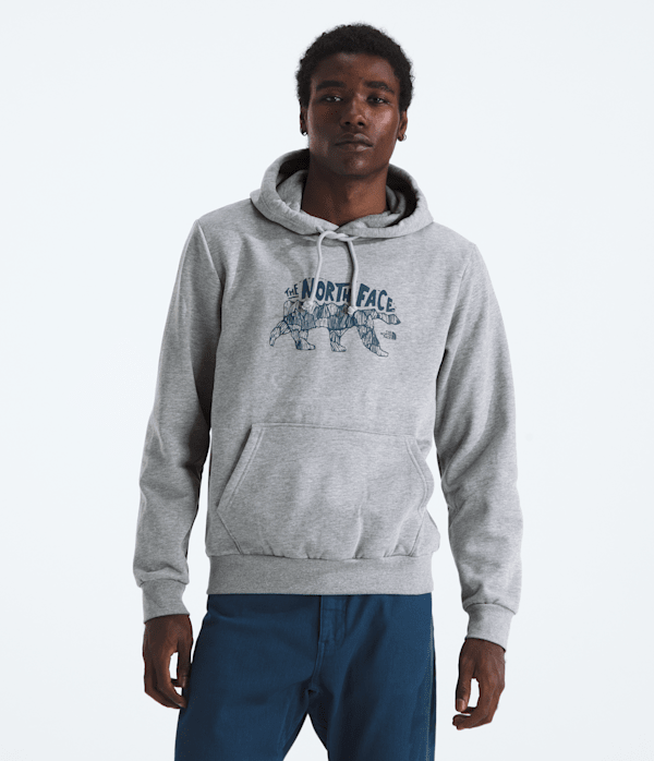 The North Face Men’s Evolution TNF™ Bear Hoodie Sweatshirt—graphic (Size: 3XL): Pale Grey Heather
