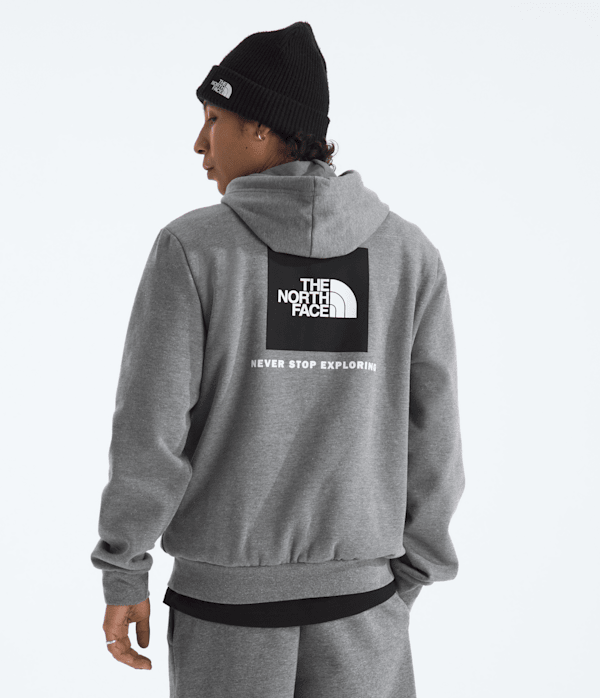 Men’s Evolution Box NSE Regular Hoodie - thumbnail 4