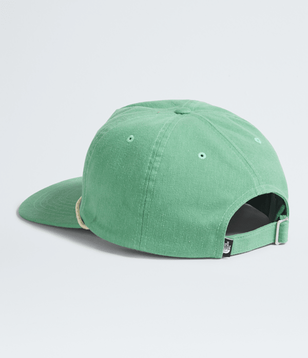 Norm-5Panel-Hat-TNF-BACK.png