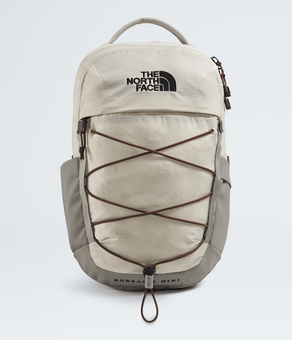 The North Face Borealis Mini Backpack
