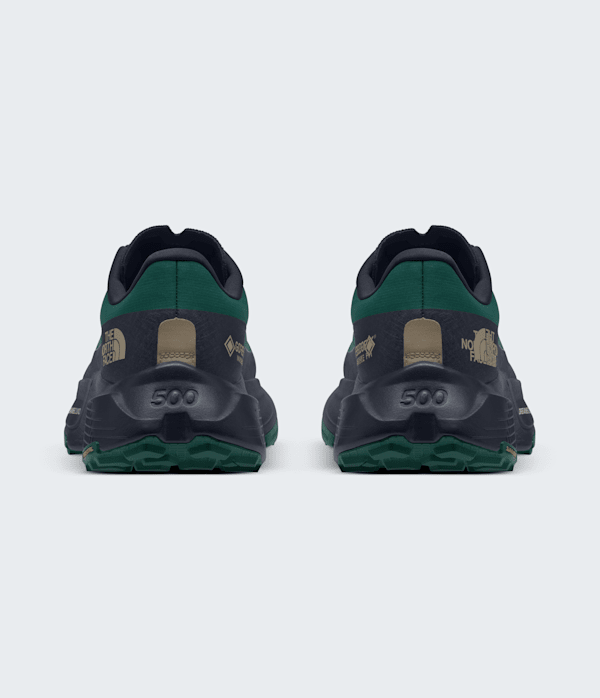 Men’s Altamesa 500 V2 GORE-TEX® Shoes - thumbnail 6
