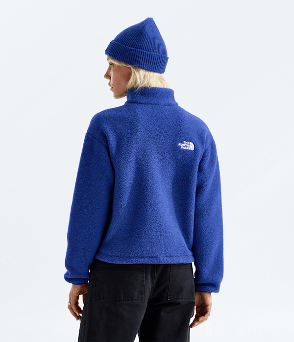 【ほぼ未使用】THE NORTH FACE スキーウェア 青/ネイビー Women's TNF™ Fleeski ¼-Zip Pullover | The North Face
