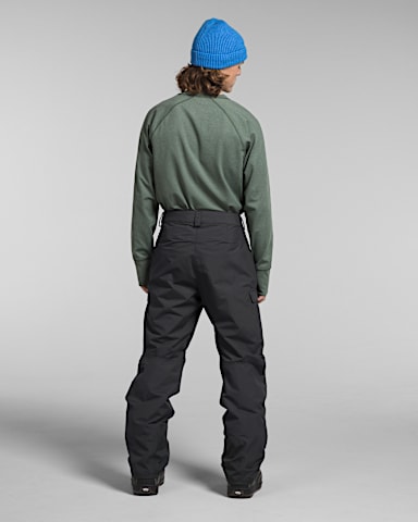 Mens Freedom Pants TNF Asphalt Grey BACK