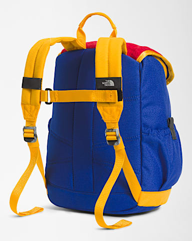 Youth Mini Explorer Backpack 10L TNF TNF RedDeep Grass GreenTNF BlueSummit Gold BACK