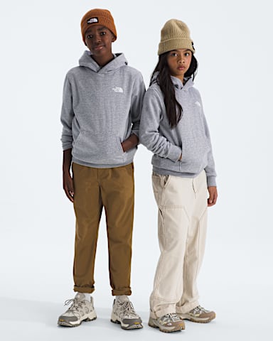 Boys Girls Evolution Print Box NSE Pullover Hoodie TNF TNF Pale Grey HeatherSummit Gold Regenerative Ink Print Main