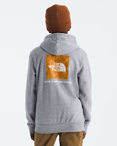 Boys Girls Evolution Print Box NSE Pullover Hoodie TNF TNF Pale Grey HeatherSummit Gold Regenerative Ink Print HERO2