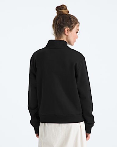 Womens Evolution Simple Dome Regular Zip TNF TNF Black BACK