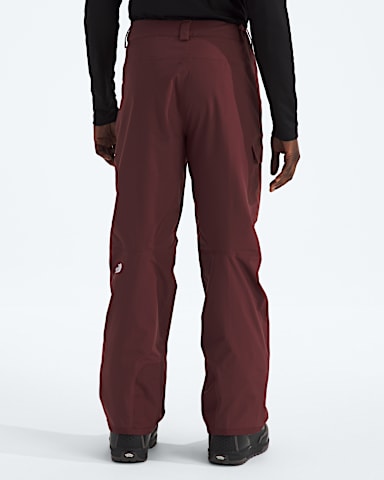 Mens Freedom Pants TNF Sumac BACK