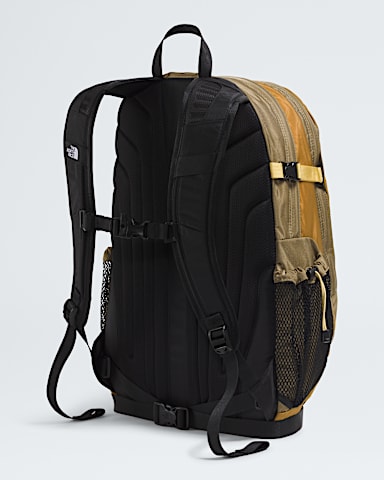 Hot Shot SE TNF CedarGolden TanHoneyed Sand BACK