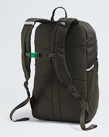 Youth Court Jester TNF CedarNew Taupe GreenLava Red BACK