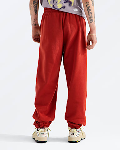 Mens TNF Essential Simple Dome Relaxed Pant TNF Iron Clay BACK
