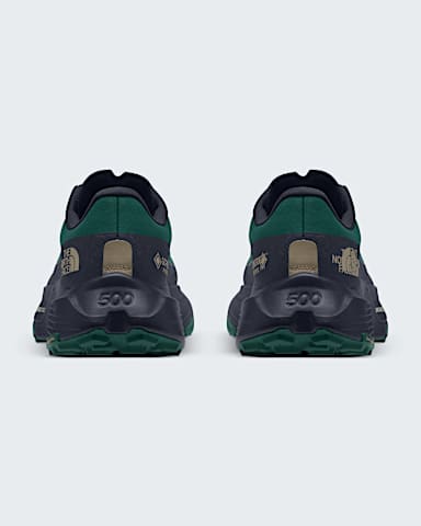 Chaussures Altamesa 500 V2 GORETEX pour hommes TNF Midnight SkyPacific Teal BACK