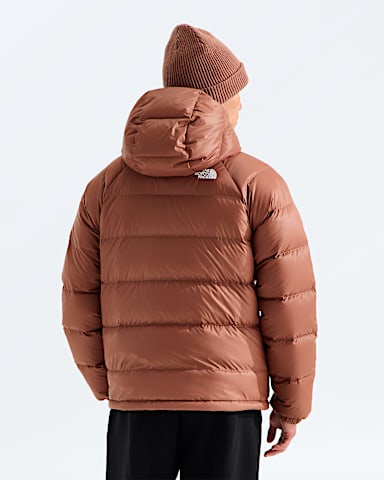 Mens Hydrenalite Down Hoodie TNF Copper Silt BACK