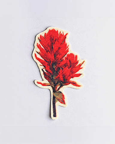 Floral Patch TNF Paintbrush HERO