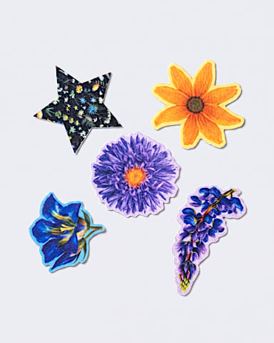 Floral Patches 5Pack TNF Floral Pack 2 HERO