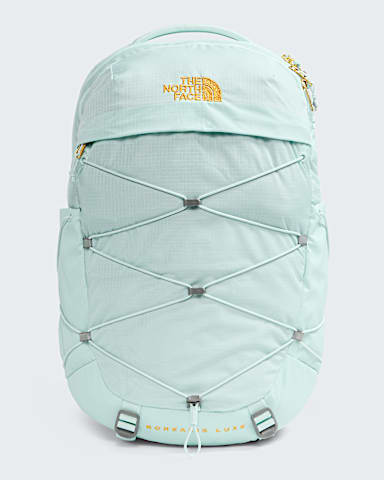 Womens Borealis Luxe Backpack  27L TNF GlacierGold Metallic HERO