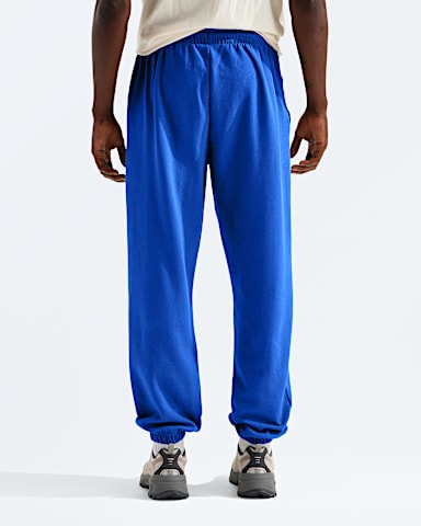 Mens TNF Double Knit Pants TNF TNF Blue BACK