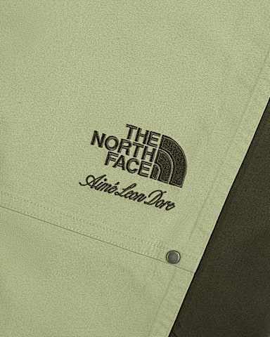 TNF X Aim Leon Dore GORETEX Pant TNF Tea Green ALT1