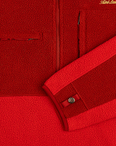 TNF X Aim Leon Dore 95 Denali HalfZip Fleece Pullover TNF TNF Red ALT2
