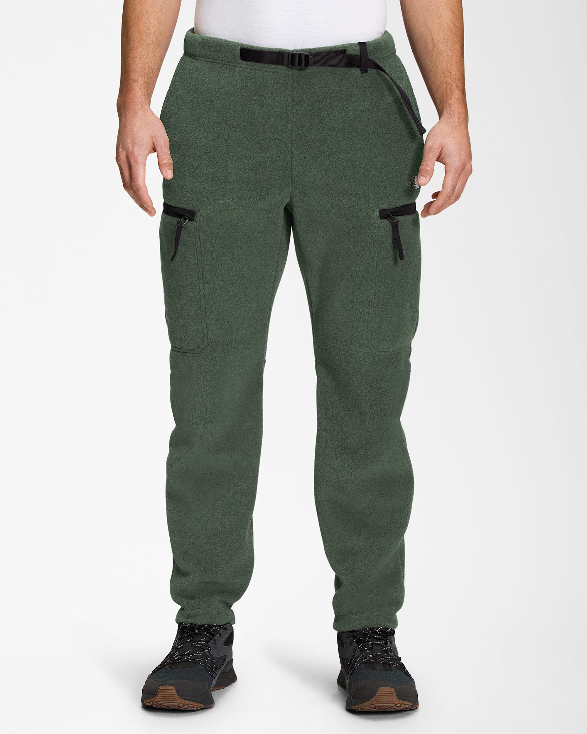 Men's Alpine Polartec® 200 Pants | The North Face