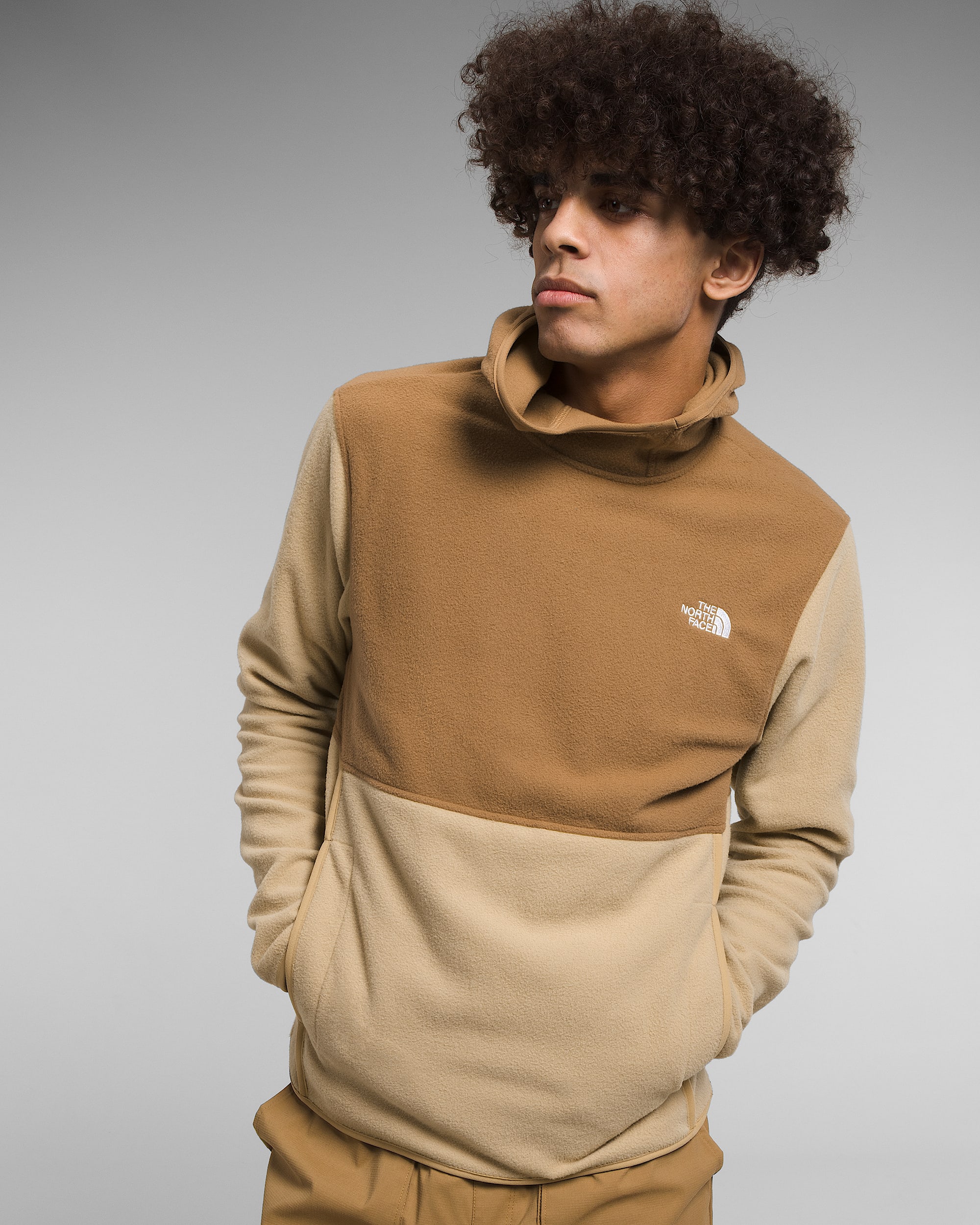 POLARTEC FIELD PULLOVER POLARTEC Field Pullover (NA2950N) | THE
