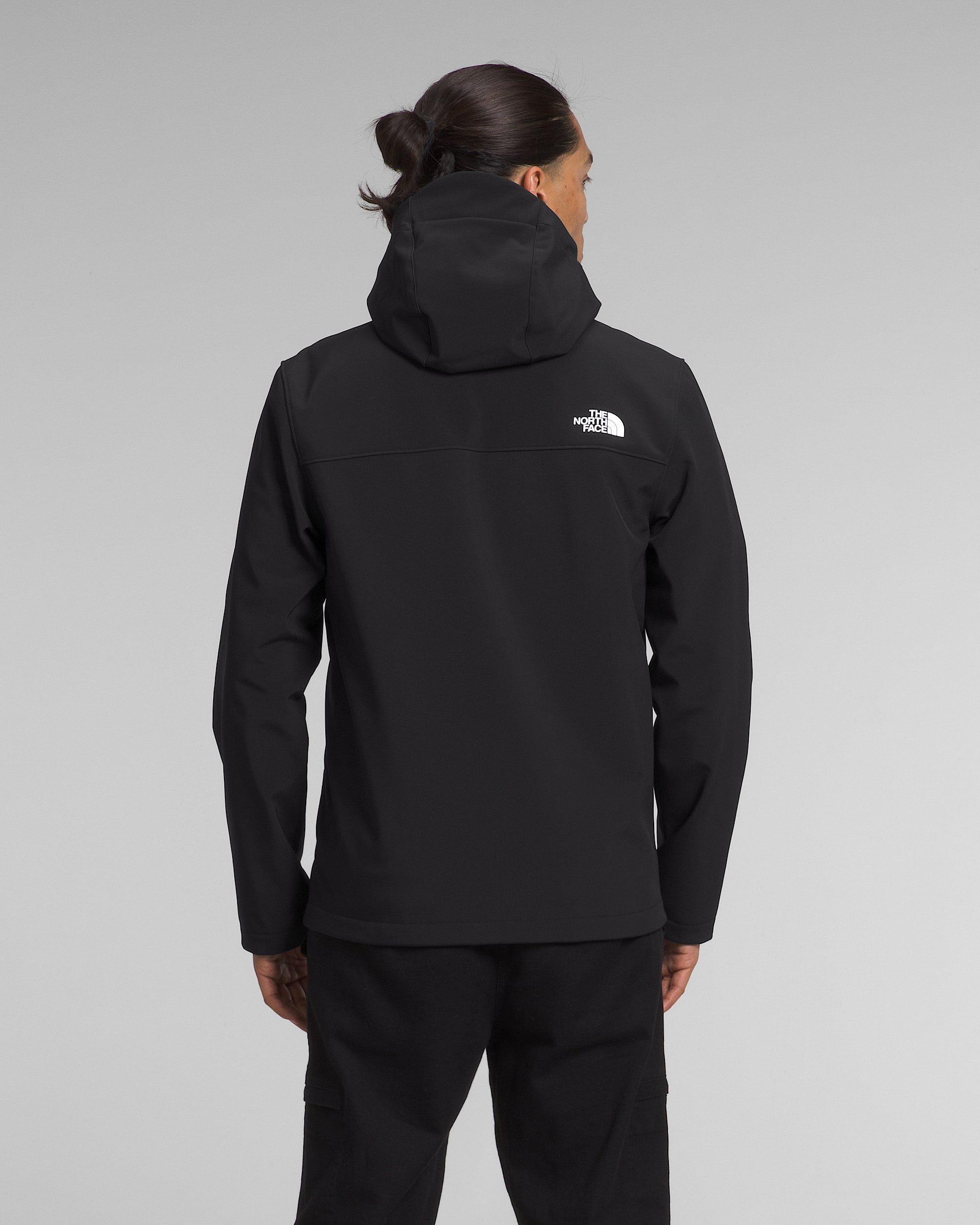 Mens Apex Bionic 3 Hoodie TNF BACK