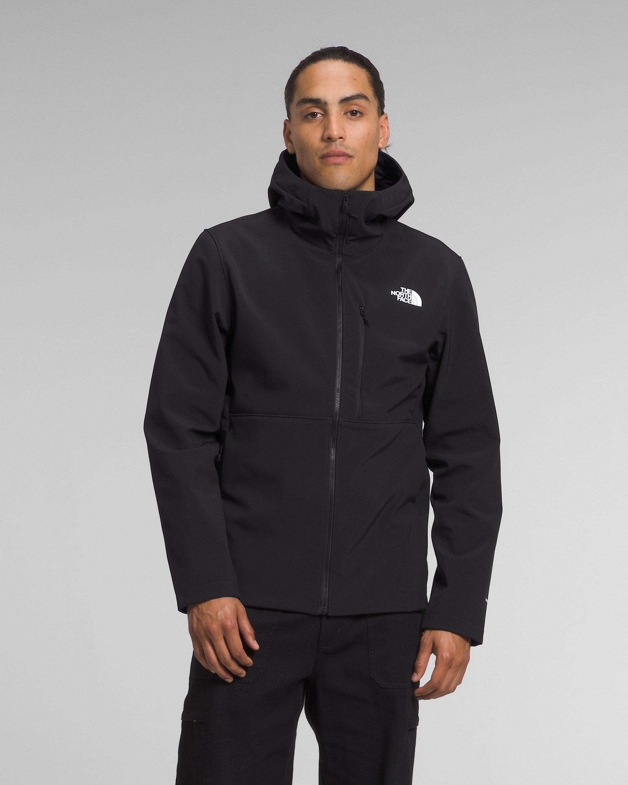 Mens Apex Bionic 3 Hoodie TNF Main