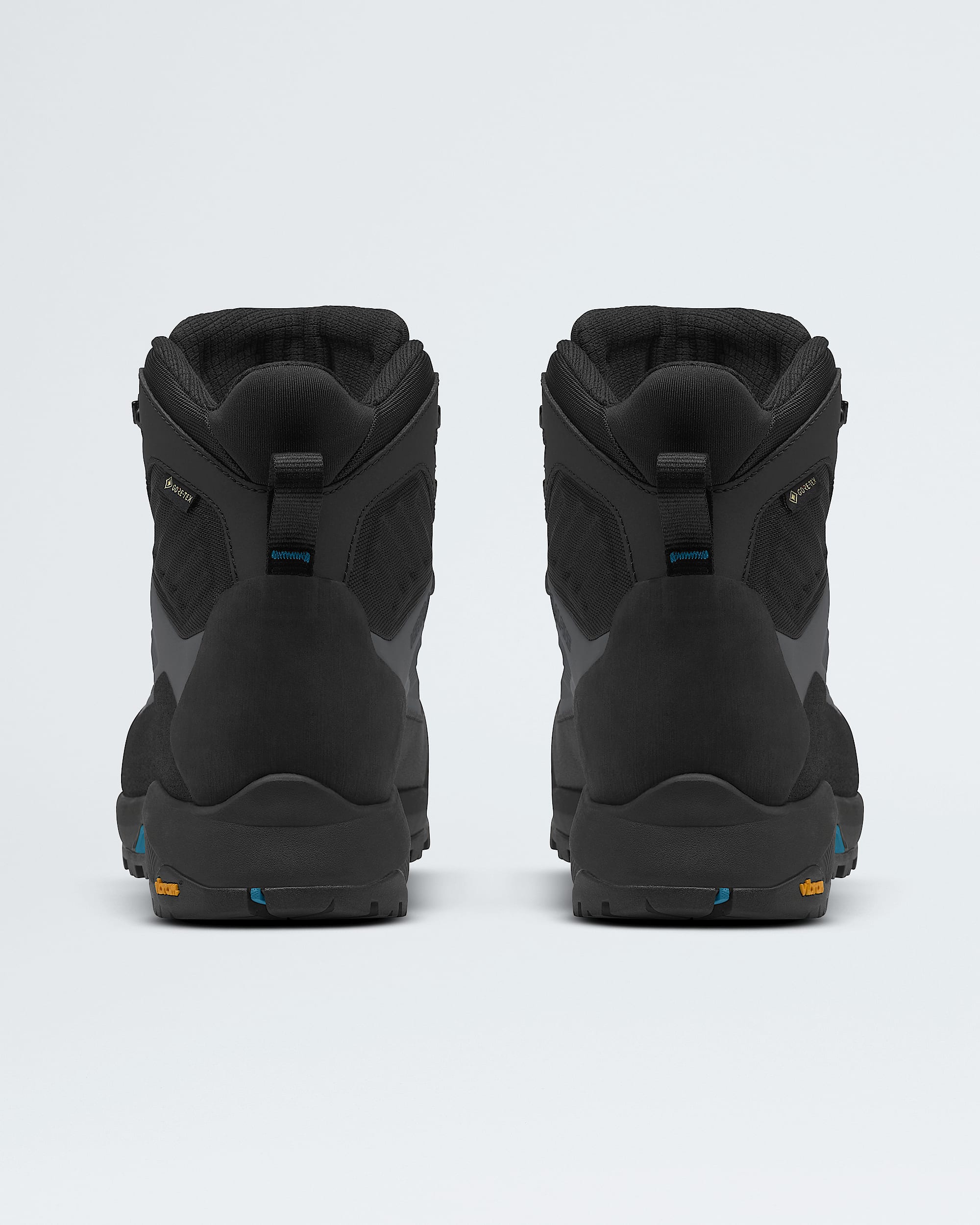 Bottes Verto Alpine Mid GORETEX pour hommes TNF BACK