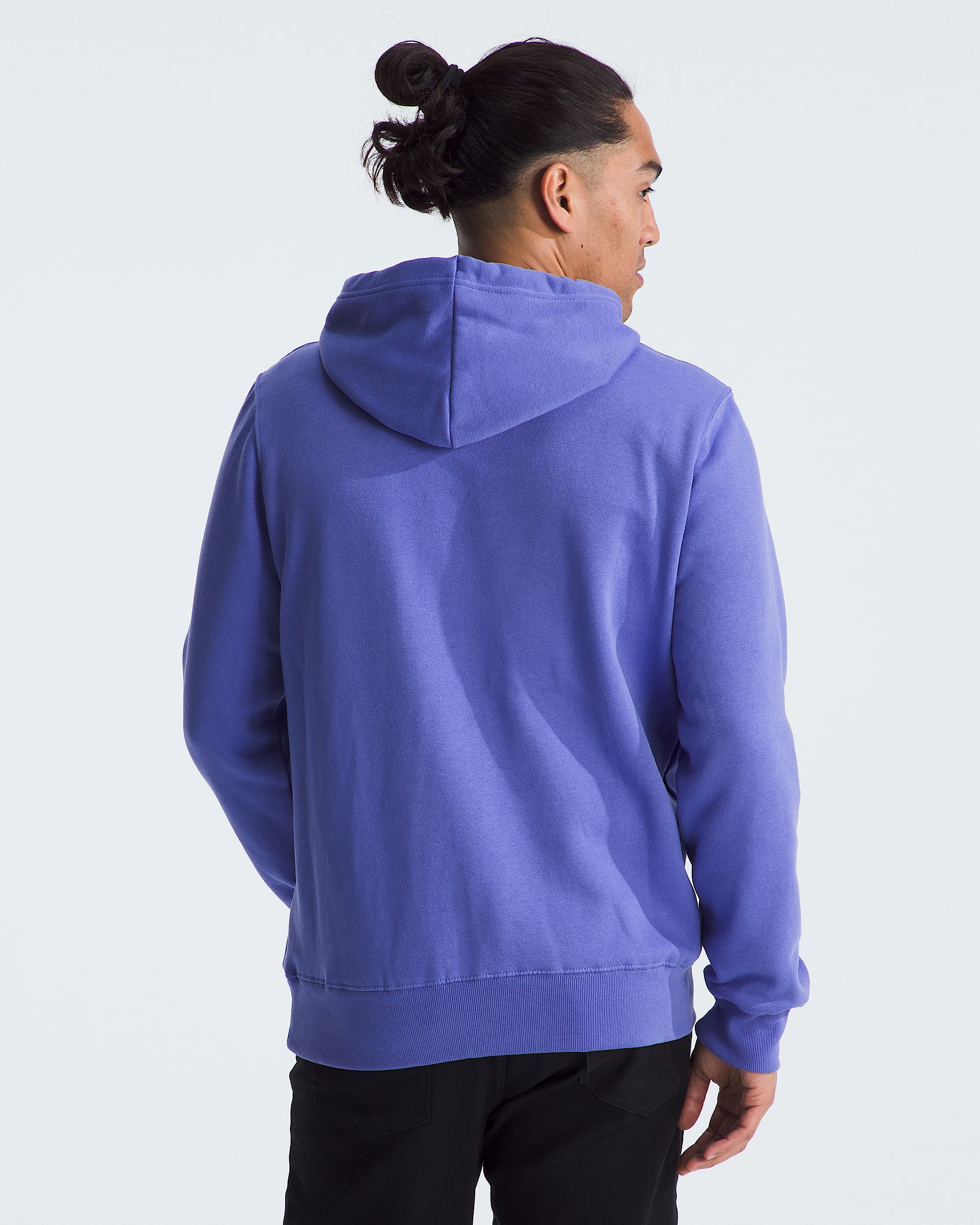 Mens Fine Alpine Hoodie TNF BACK