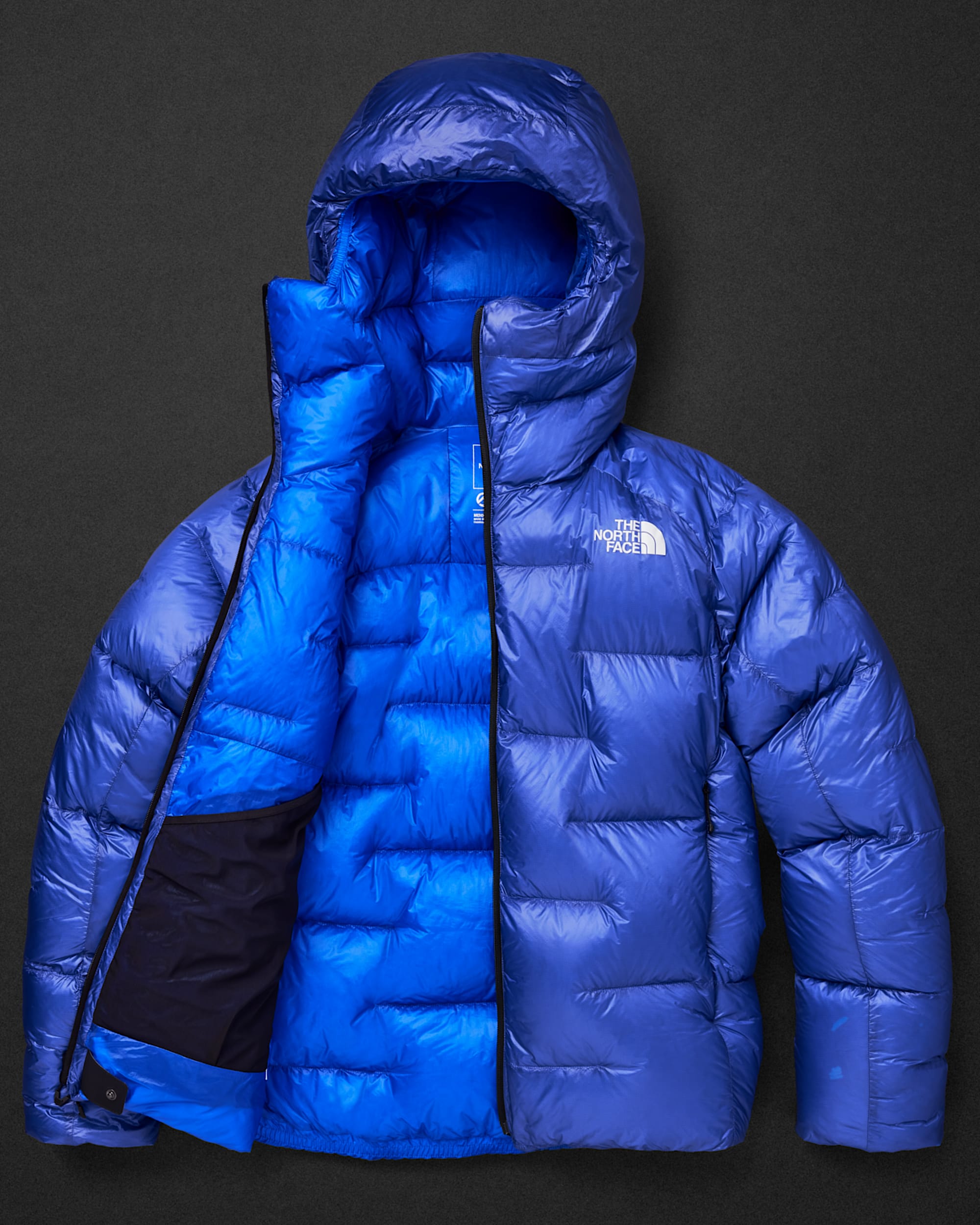 Mens Summit Series Pumori Down Parka TNF INT