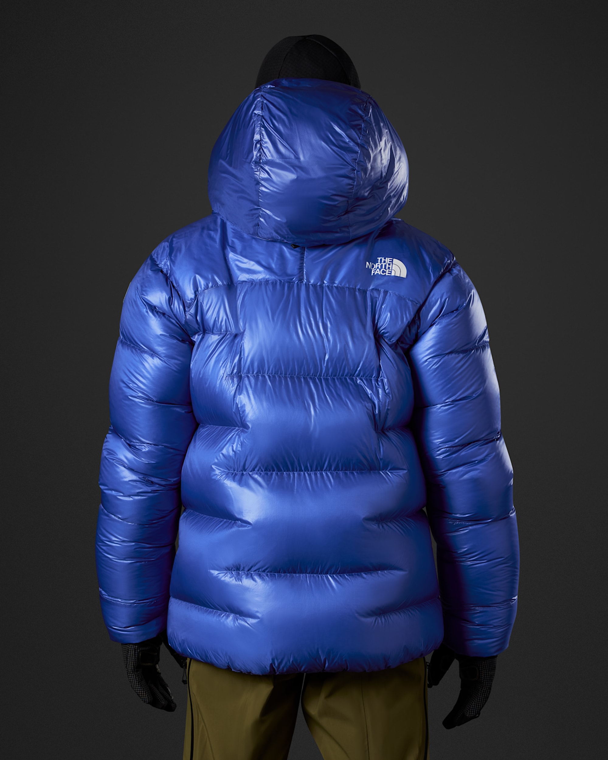 Mens Summit Series Pumori Down Parka TNF BACK