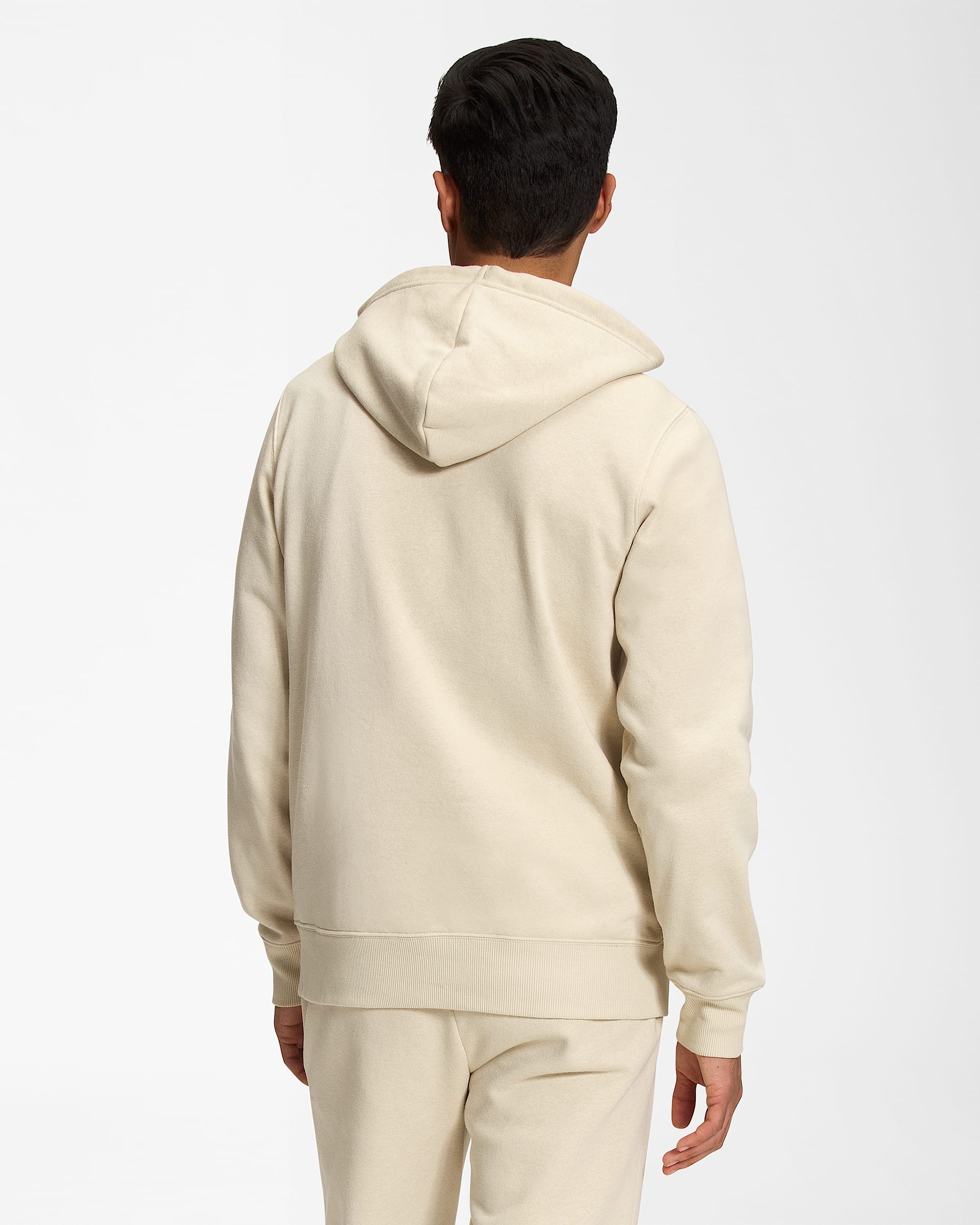Mens Half Dome Pullover Hoodie TNF BACK