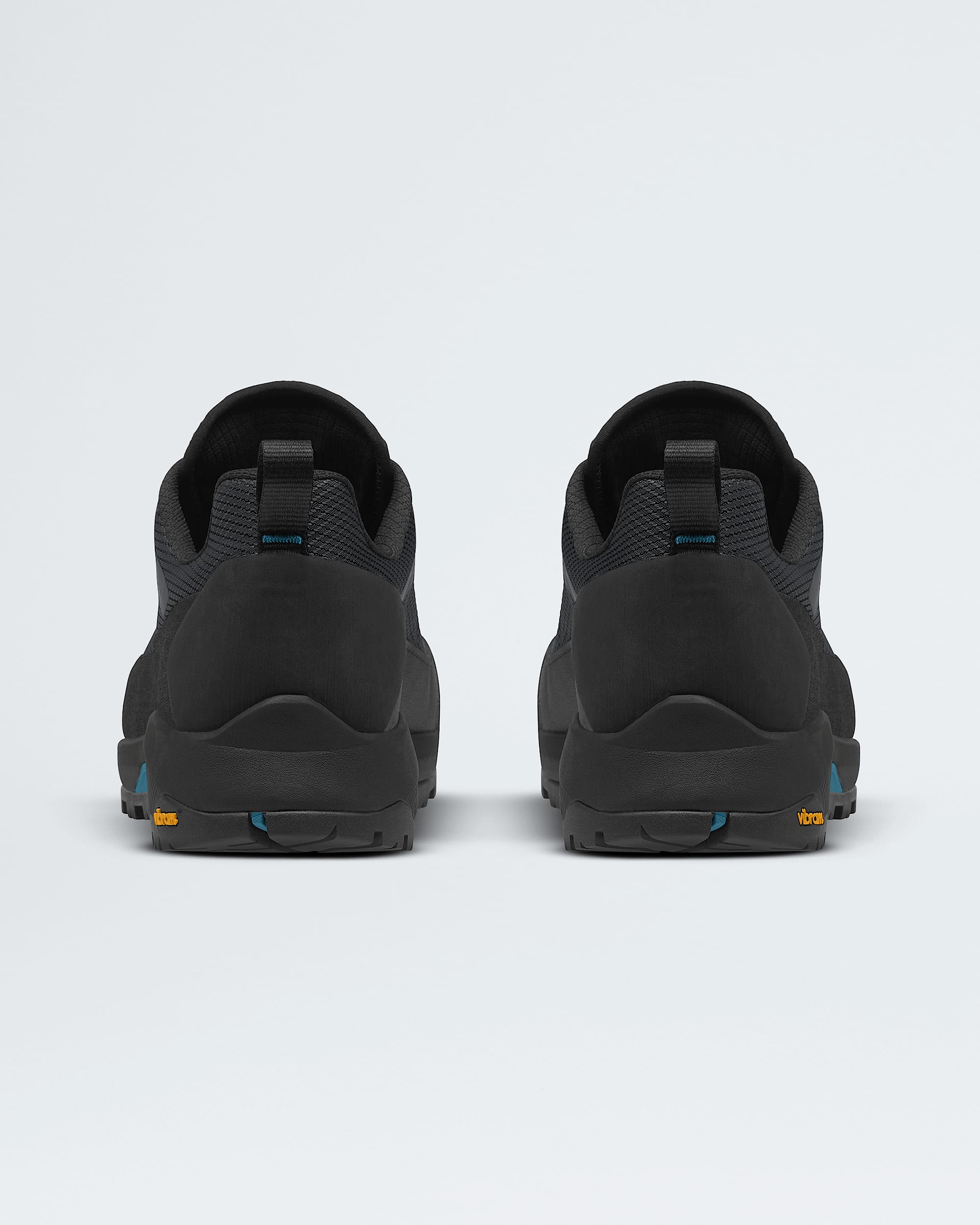 Mens Verto Alpine GORETEX Shoes TNF BACK