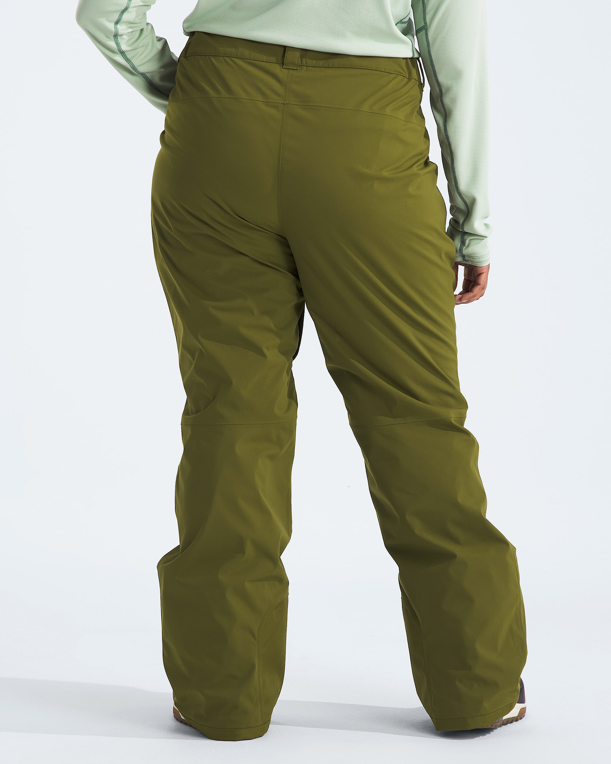 Womens Plus Freedom Stretch Pants TNF BACK