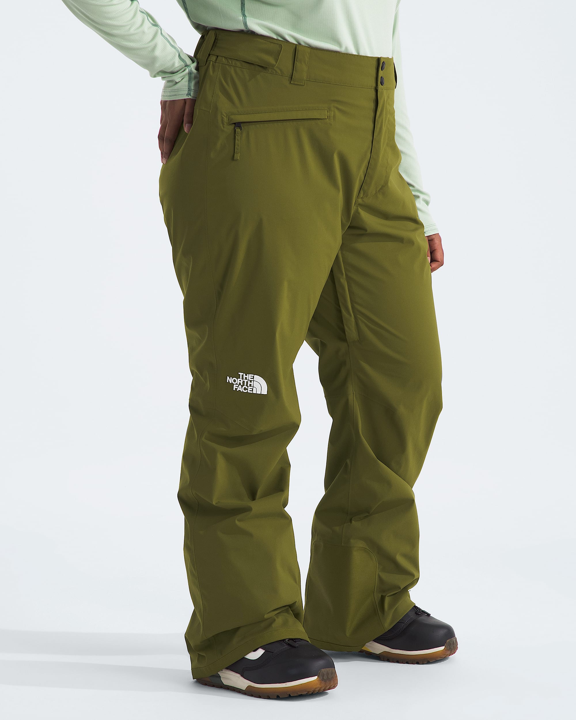 Womens Plus Freedom Stretch Pants TNF MODEL34