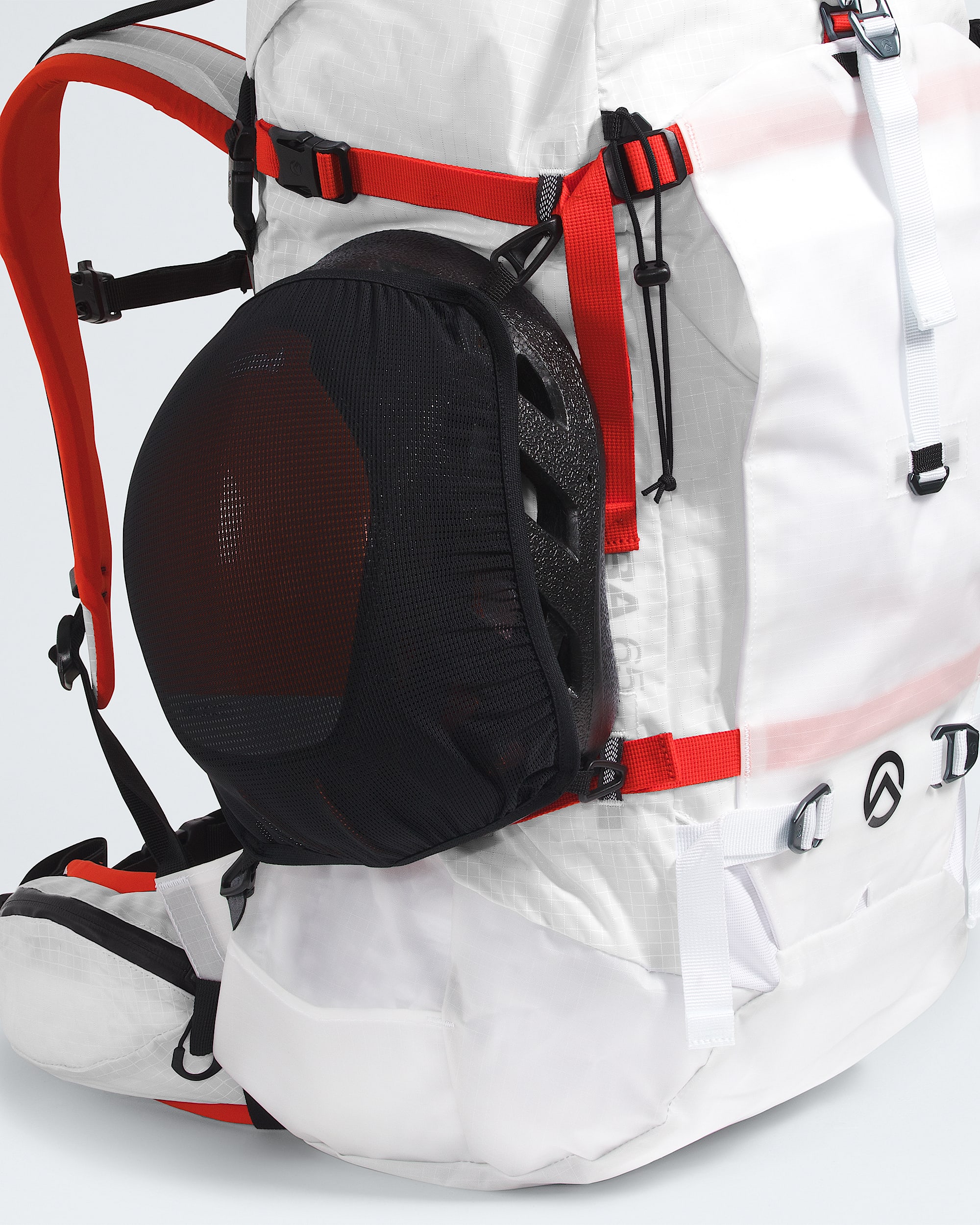 Cobra 65 Backpack TNF ALT2